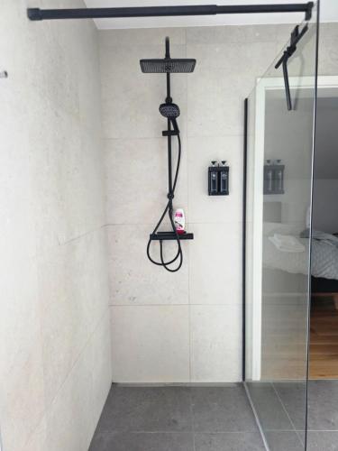 a shower in a room with a glass door at Private House with Jacuzzi and Sauna in Domžale