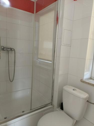 a bathroom with a shower and a white toilet at Hostel Wólka Kosowska z prywatnymi łazienkami in Wólka Kosowska