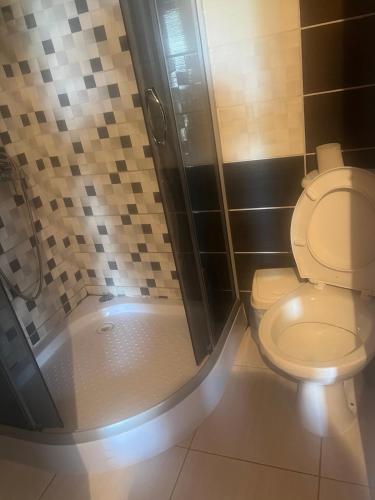 a bathroom with a toilet and a shower at Ілона in Beregi