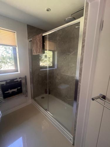 a shower with a glass door in a bathroom at Cedar Garden Cottage in East Chinnock