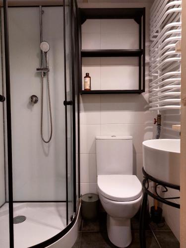 a bathroom with a shower and a toilet and a sink at Apartament WERANDA in Paplin