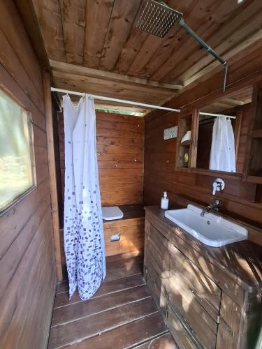 a bathroom with a sink in a wooden cabin at Agriturismo La Taverna in Fontanelice