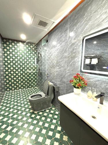 a bathroom with a toilet and a sink at Tam Coc Sunny House in Vũ Lâm