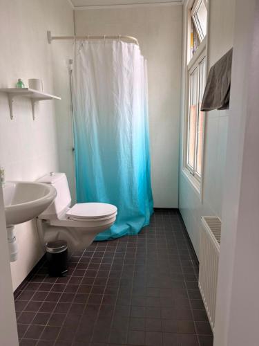 a bathroom with a toilet and a shower and a sink at B&B Carl XII in Ed