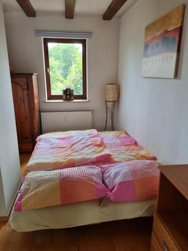 a bedroom with a large bed with a window at Ferienwohnung an Pferdehof in Much in Much