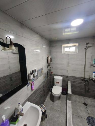 a bathroom with a toilet and a sink at biker s home in Nabakhtevi