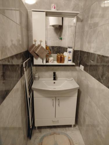 a bathroom with a white sink and a mirror at Avdic Guest House in Makljenovac