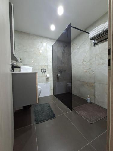 a bathroom with a shower with a sink and a toilet at Black Forest Apartment in Friesenheim