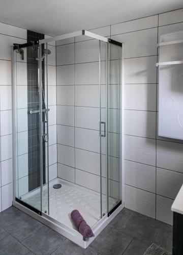 a shower with a glass door in a bathroom at Chambres d'hôtes La Luce in Démuin