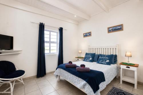 a bedroom with a bed with blue pillows and a tv at Jacobsdaller #1 in Jacobs Bay