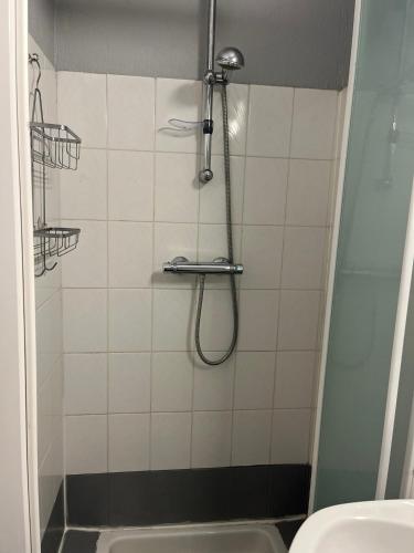 a bathroom with a shower with a sink and a toilet at Appartement le Gallon in Langogne