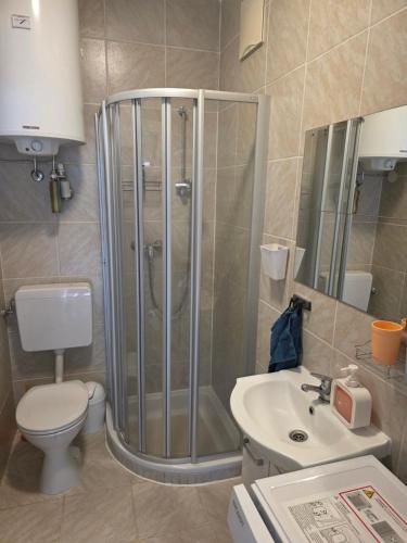 a bathroom with a shower and a toilet and a sink at Ferienhaus RADO in Winden am See