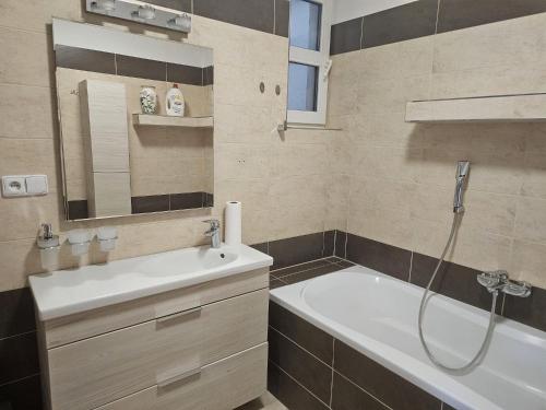 a bathroom with a bath tub and a sink at Studio Hálkova in Chlumec nad Cidlinou