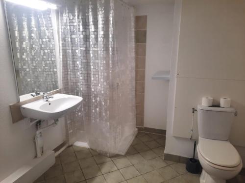 a bathroom with a toilet and a sink at Résidence Les Toits du Dévoluy in Le Dévoluy