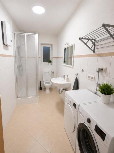 a bathroom with a washing machine and a sink at Wohnliches Apartment in Koblenz-Bubenheim in Koblenz