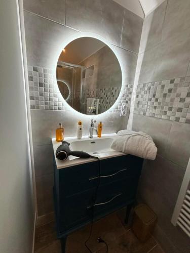 a bathroom with a sink and a mirror at Le Domaine de Darvoy in Darvoy