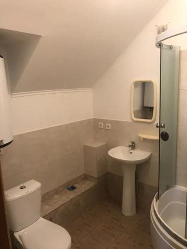 a bathroom with a toilet and a sink at Море і Сосни in Koblevo