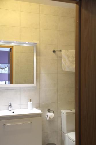 a bathroom with a sink and a toilet and a mirror at Neeme Marina Questhouse in Neeme