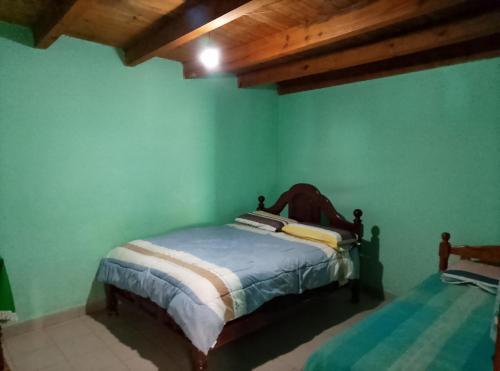 a bedroom with a bed in a green wall at Alojamiento Lidia in Iruya