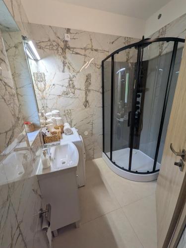 a bathroom with a shower and a sink and a mirror at 386 Apartman in Písek