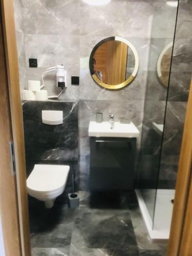 a bathroom with a sink and a toilet and a mirror at Domki Relaksowa in Nowęcin