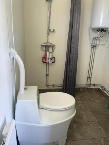 eine weiße Toilette in einem Badezimmer mit Dusche in der Unterkunft Låbbyn15 in Årjäng