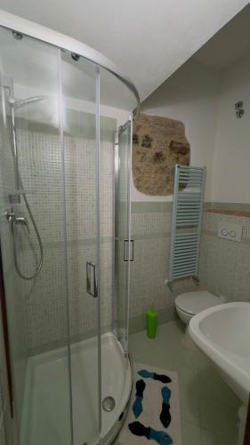a bathroom with a shower and a sink and a toilet at La Nobiltà del Tempo in Murlo