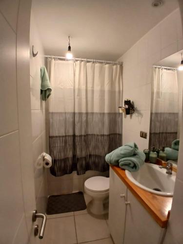 a bathroom with a toilet and a shower and a sink at Pucon dpto in Pucón