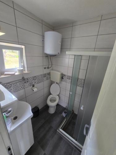 a small bathroom with a toilet and a sink at Ignjic Apartmani in Buljarica