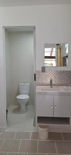 a bathroom with a toilet and a sink and a mirror at Chacara Recanto Vale do Luar in Piraquara