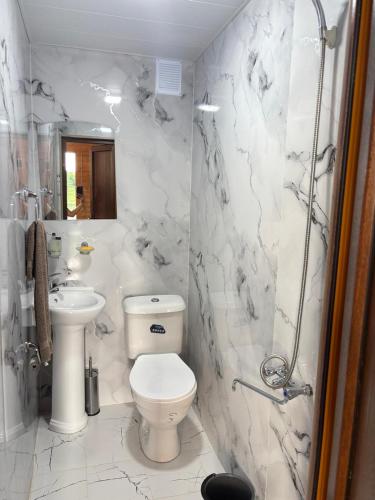 a white bathroom with a toilet and a sink at Lake Tsover in Dsegh