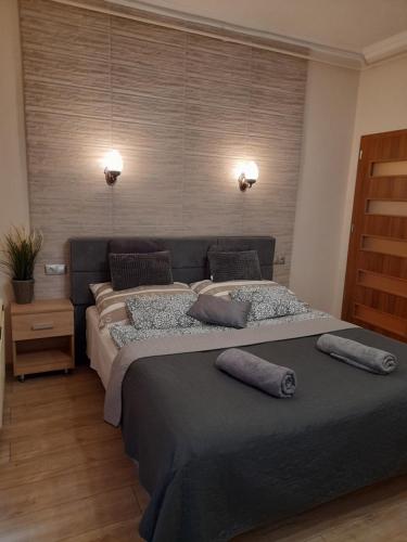 a bedroom with two beds with pillows on them at Zöld Sziget Apartmanlakás in Eger