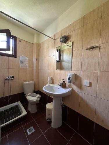 a bathroom with a sink and a toilet at Morfili Villa in Limenaria