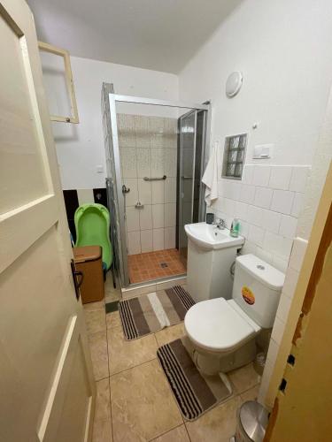 a bathroom with a toilet and a sink and a shower at Chalupa u Tomáša in Lúčky