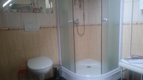 a bathroom with a shower and a toilet and a sink at Pension Jana Tatrovice in Tatrovice
