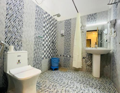 a bathroom with a toilet and a sink at Hotel Meerana in Jaisalmer
