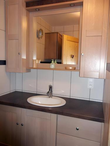 a bathroom counter with a sink and a mirror at Gite Le Chant Du Coq in Bief-des-Maisons