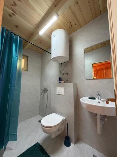 a bathroom with a toilet and a sink at Bukuria e Fjerinës in Ulcinj