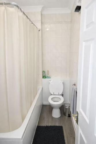 a white bathroom with a toilet and a shower at Newly Renovated Studio in Bishop's Stortford in Bishops Stortford
