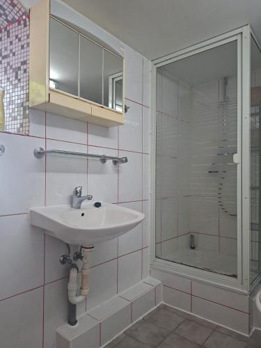 a bathroom with a sink and a shower at Unseburger Brauhaus - FW7 in Unseburg