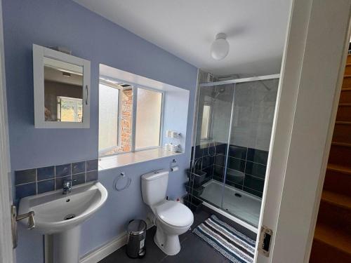 a bathroom with a toilet and a sink and a shower at An Cnocán in Limerick