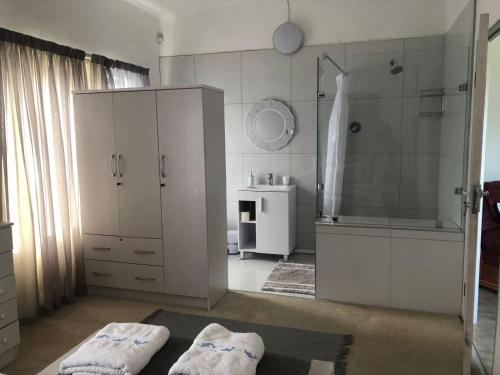 a bathroom with a shower and a large white cabinet at Sundowner in Yzerfontein