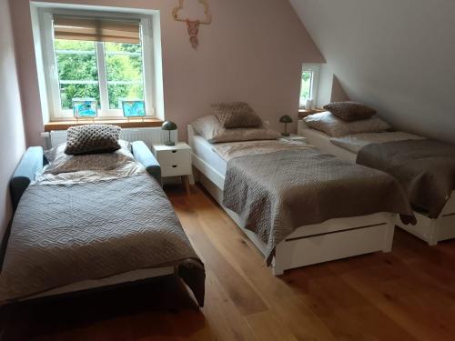 a bedroom with two beds and a window at Green House Giławy in Giławy