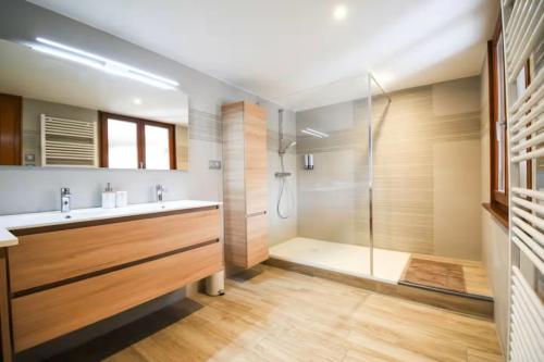 a bathroom with a shower and a sink at Le Courlis du Ried in Grussenheim