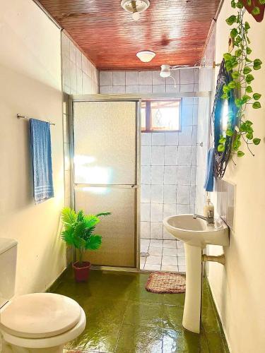 a bathroom with a shower and a toilet and a sink at Chale da Pousada Curió in Ibiúna