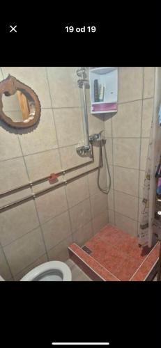 a bathroom with a toilet and a shower stall at Chill & Woods in Štrucljevo