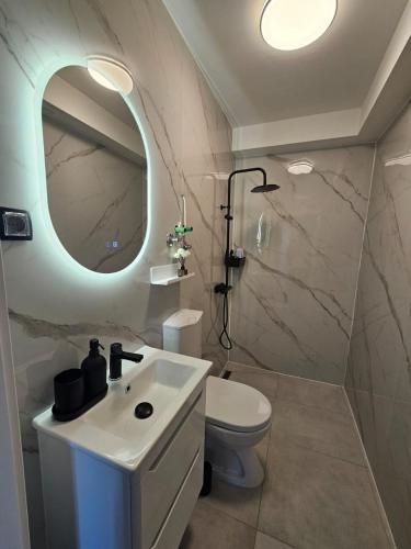a bathroom with a sink and a toilet and a mirror at Garden Haus Livno in Livno