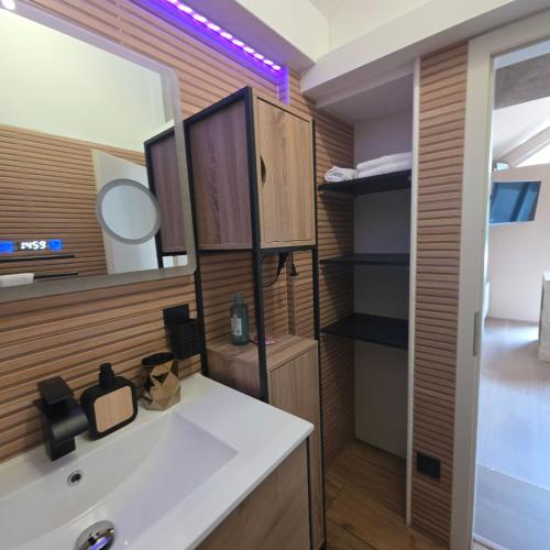 a bathroom with a white sink and a mirror at Jardin De Pairis in Orbey