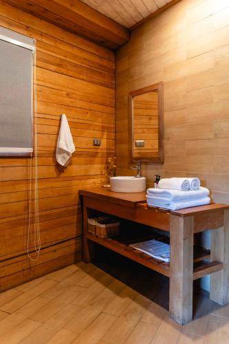 a bathroom with a sink and a mirror at Peuma Lodge Patagonia in Futaleufú