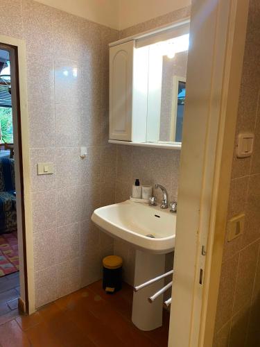 a bathroom with a sink and a mirror at La chiesina delle conce in Sarteano